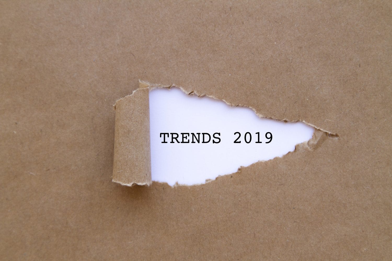 2019 Technology Trends