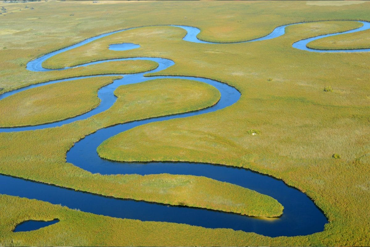 A winding river with deep blue water curves through a green grassy marshland, creating an intricate, serpentine pattern in the landscape.